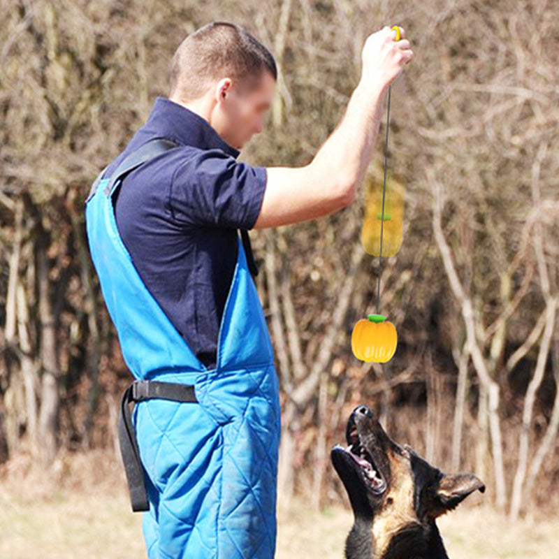 Pet Toy and Squeaker Training Ball