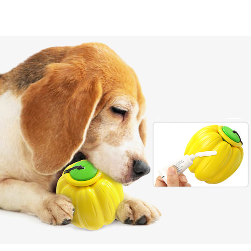 Pet Toy and Squeaker Training Ball