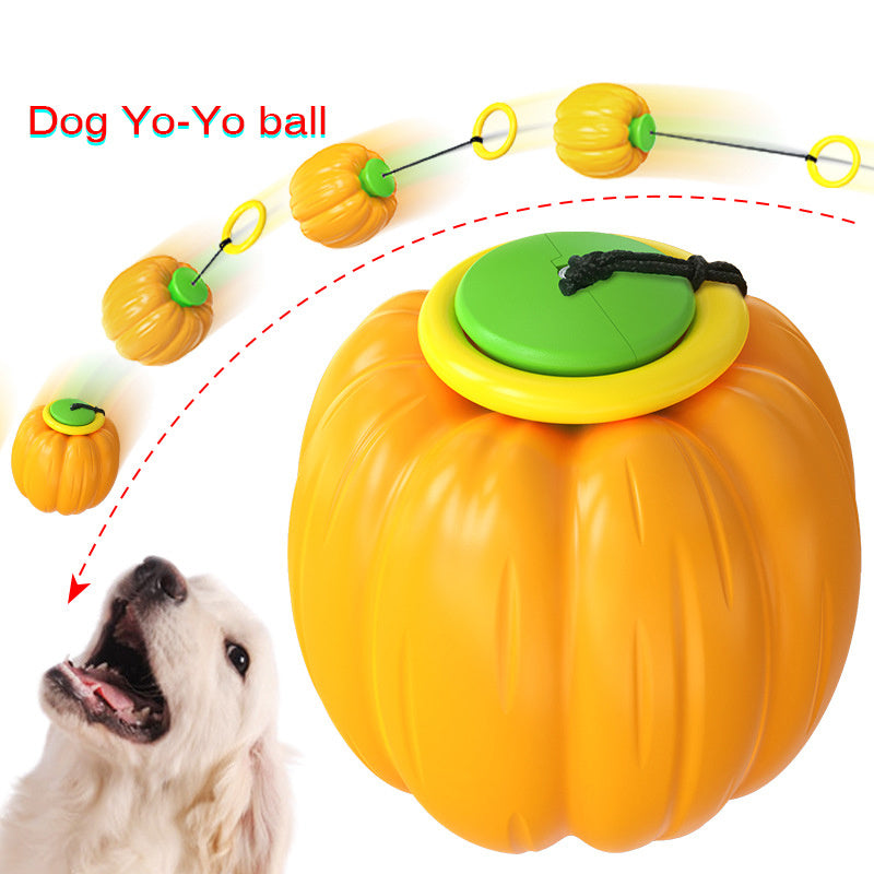 Pet Toy and Squeaker Training Ball