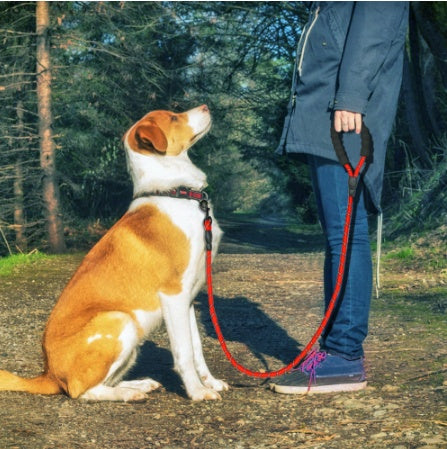 Reflective Dog Leash - Jimbol Pet Kit