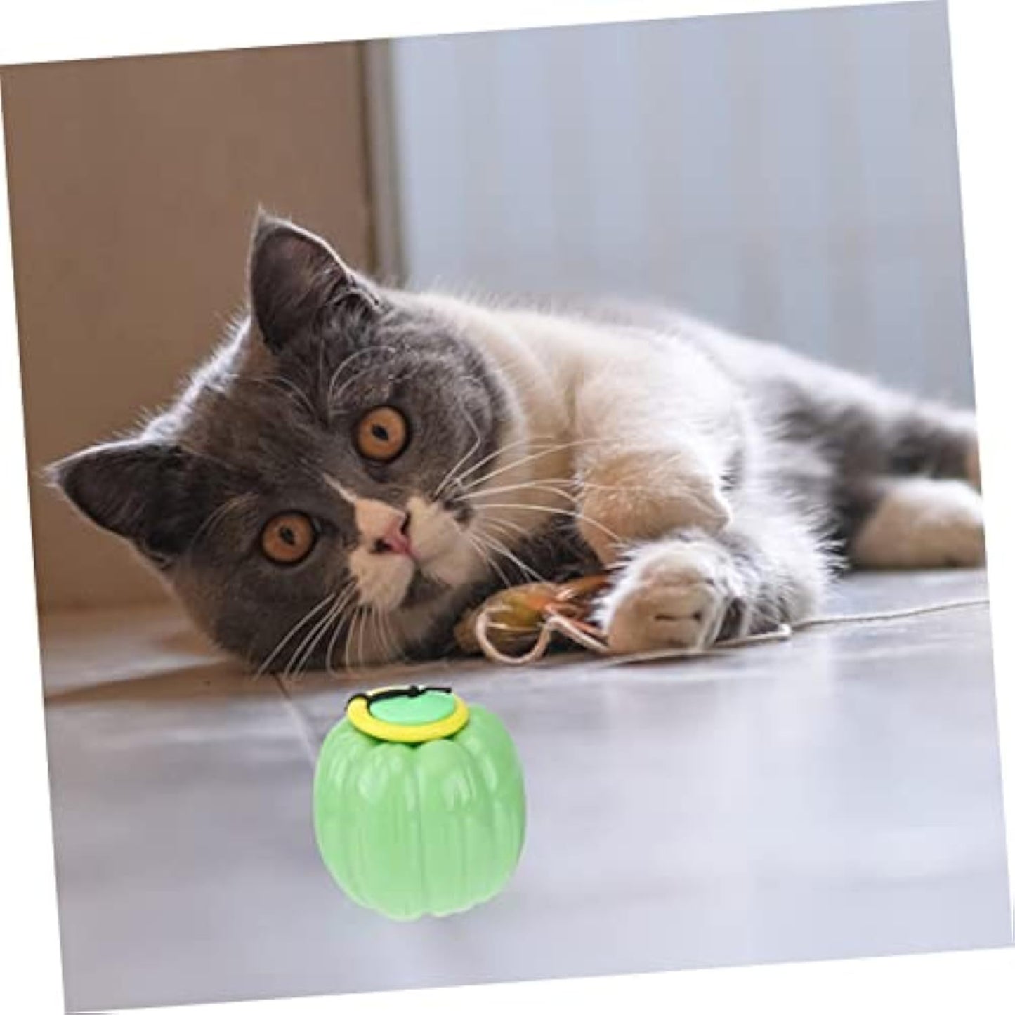 Pet Toy and Squeaker Training Ball