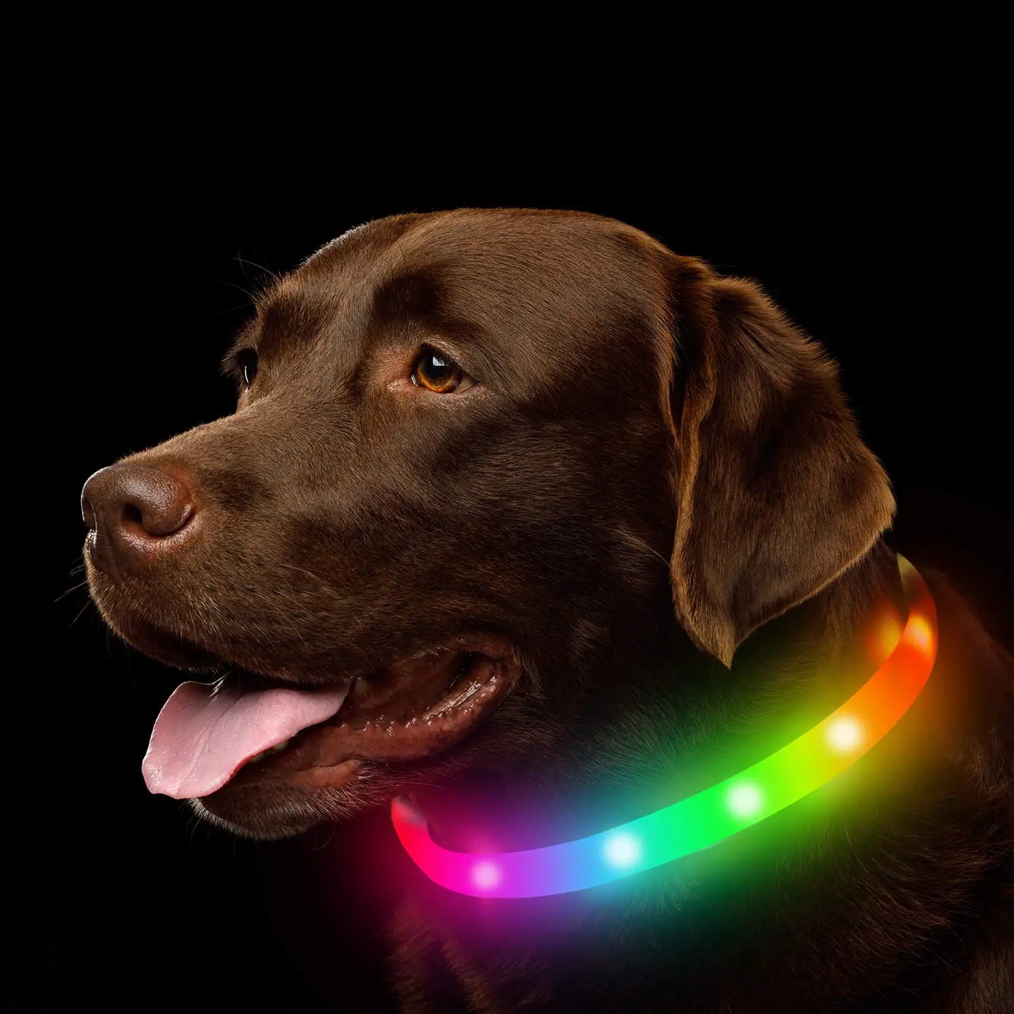 Silicone Led Collars - Jimbol Pet Kit