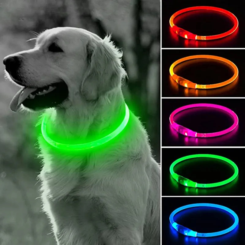 USB Luminous Led Dog Collar - Jimbol Pet Kit