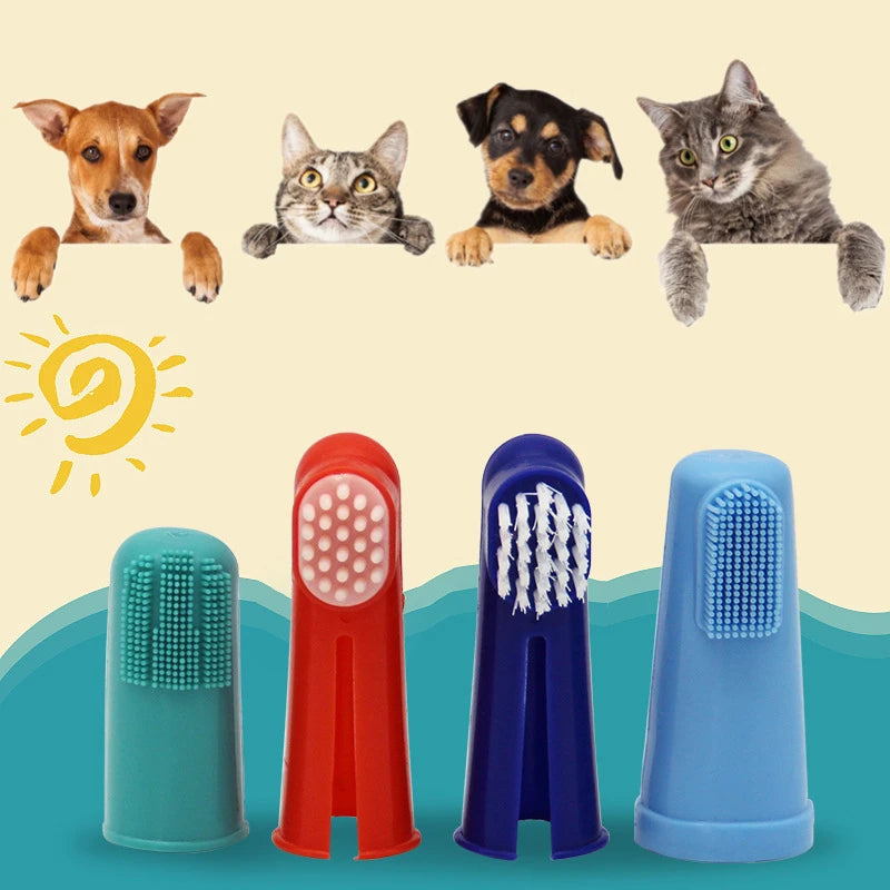 Pet Toothbrush - Jimbol Pet Kit