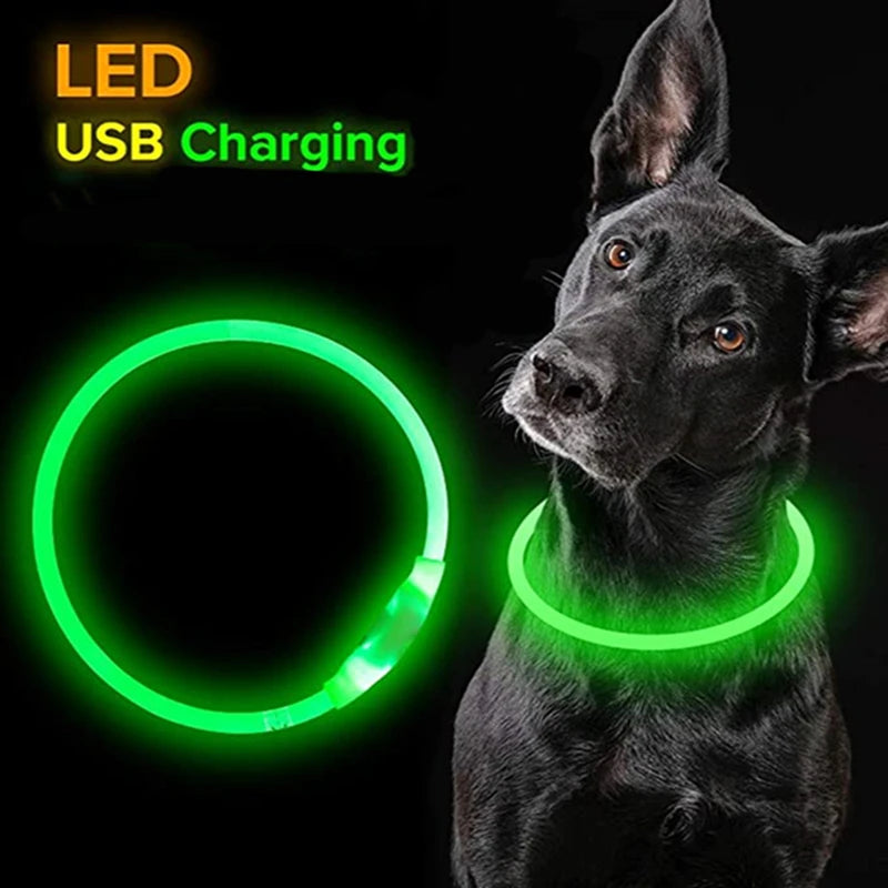 USB Luminous Led Dog Collar - Jimbol Pet Kit