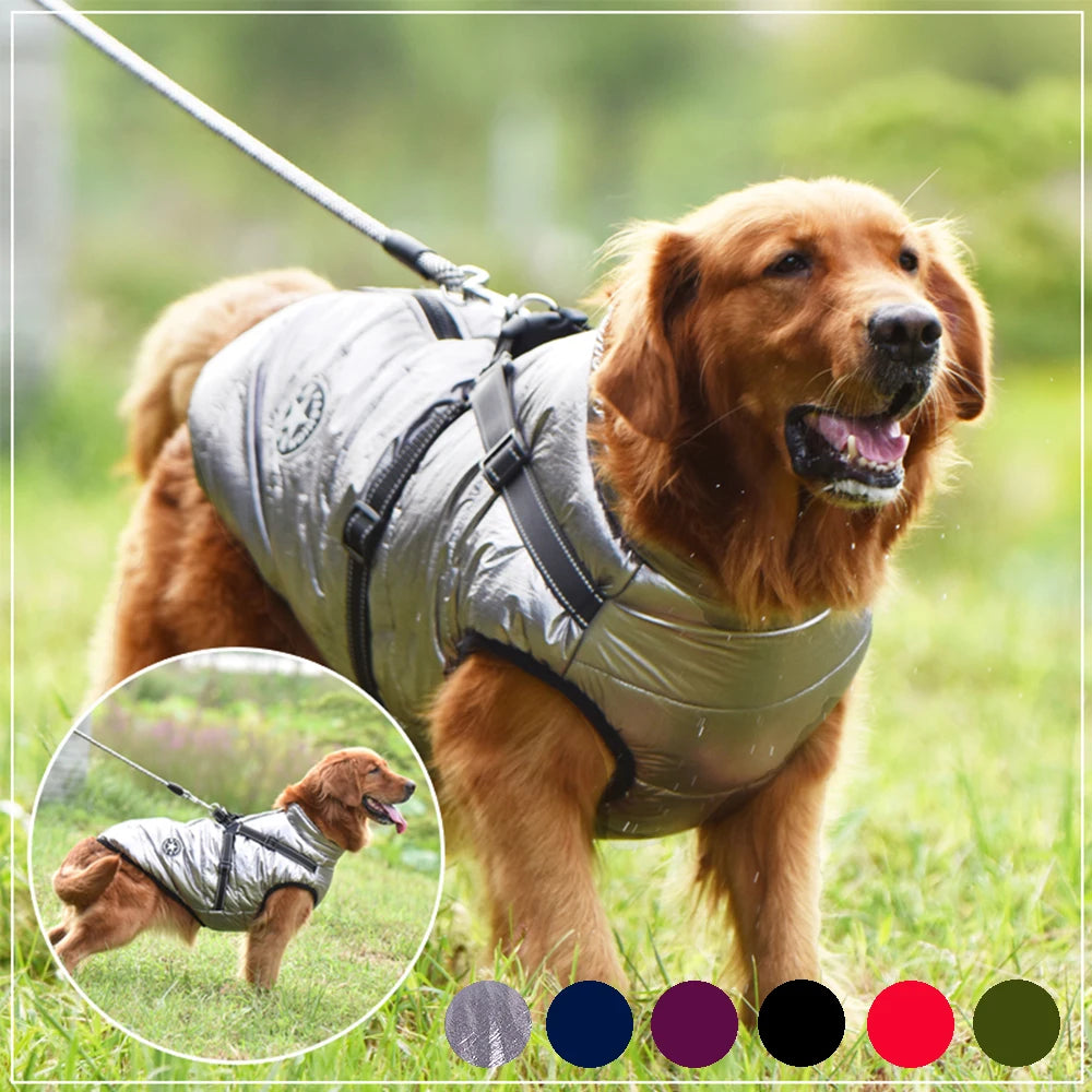 Dog Winter Jacket - Jimbol Pet Kit