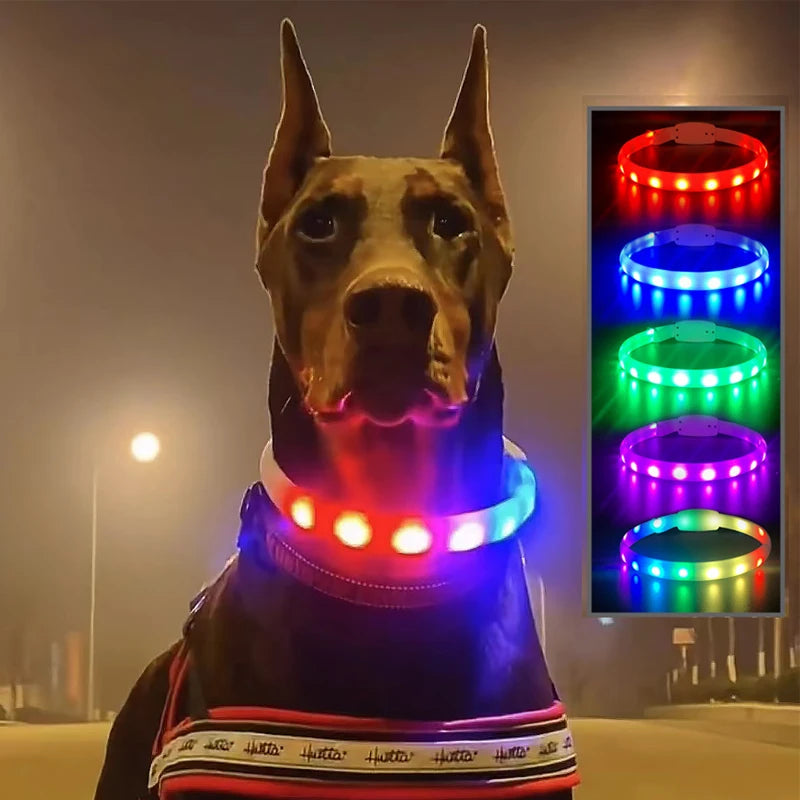 Silicone Led Collars - Jimbol Pet Kit