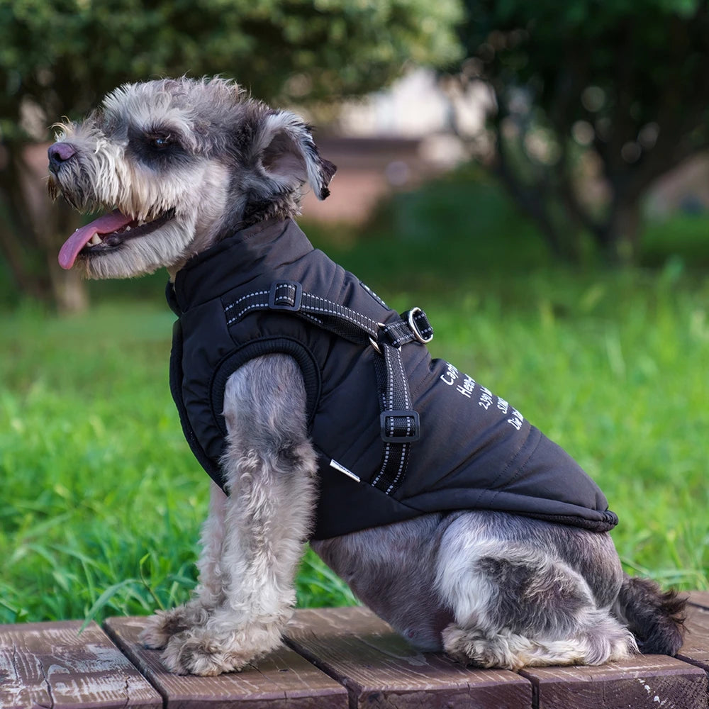 Dog Jacket with Harness Winter Warm