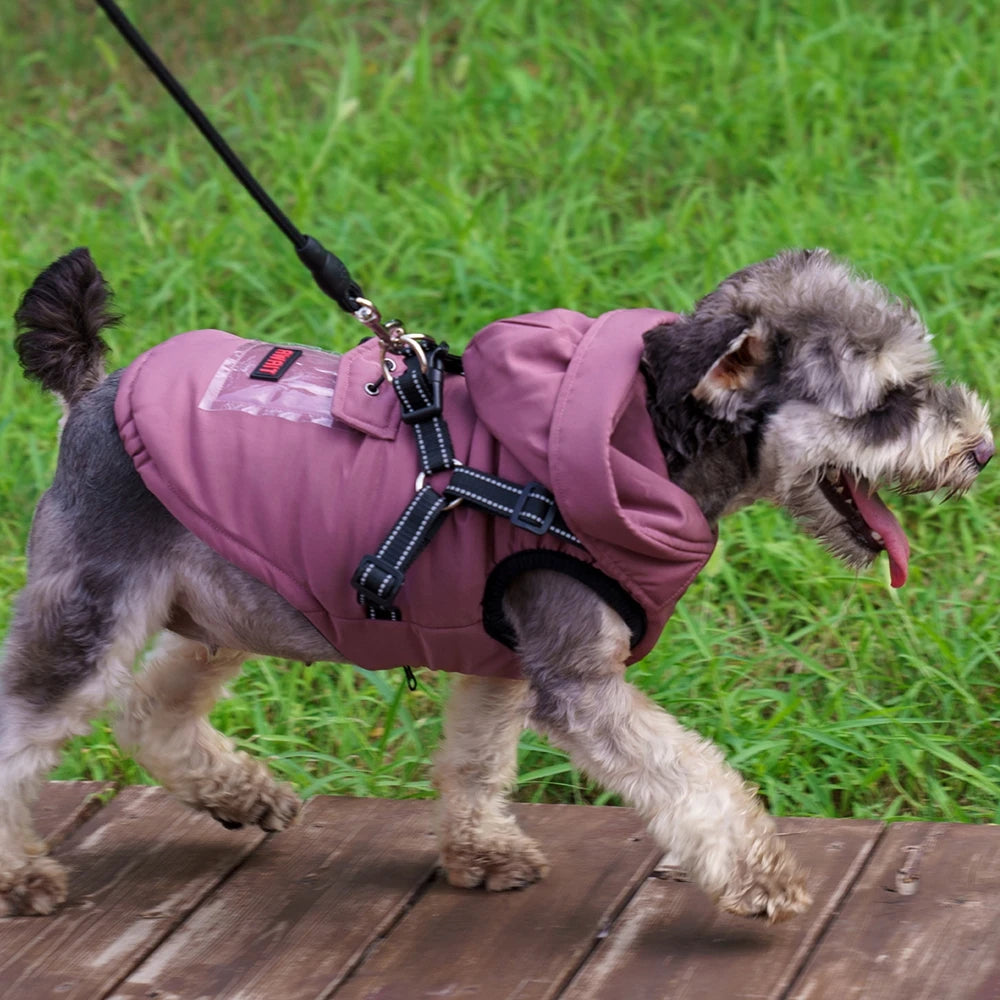 Dog Jacket with Harness Winter Warm