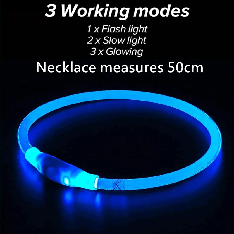 USB Luminous Led Dog Collar - Jimbol Pet Kit