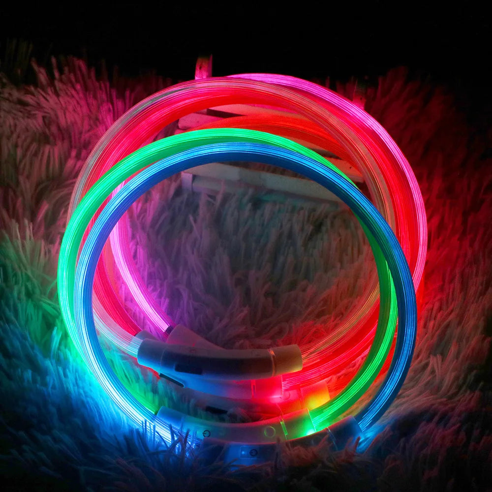 USB Luminous Led Dog Collar - Jimbol Pet Kit