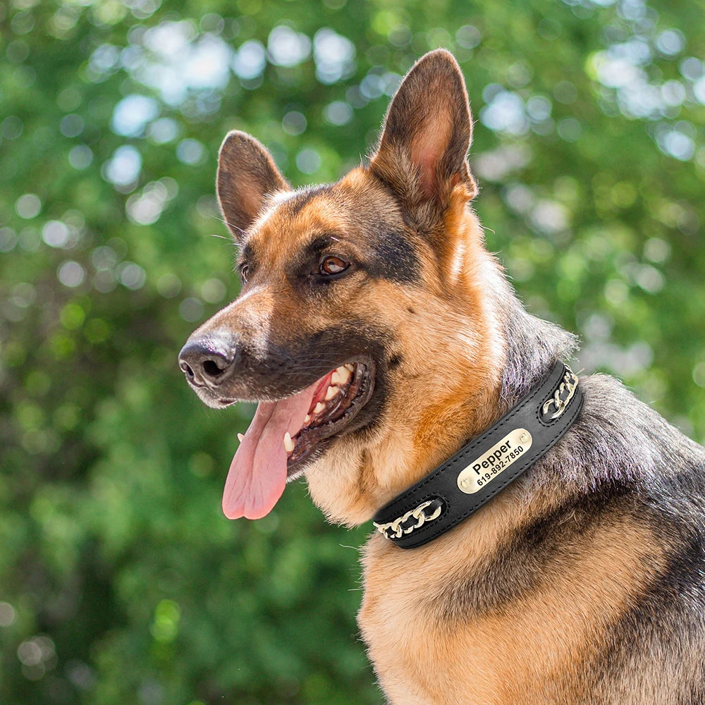 Custom Leather Dog Collar with Genuine Leather