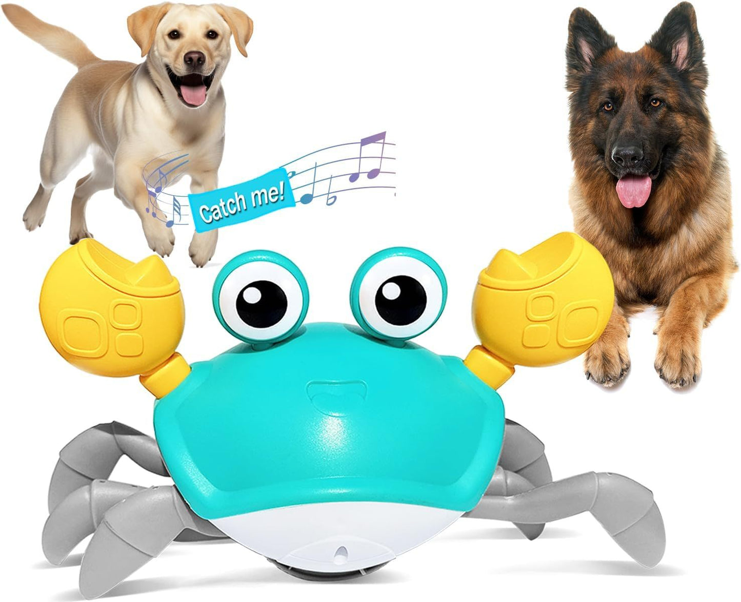 Crawling Crab Dog Toys