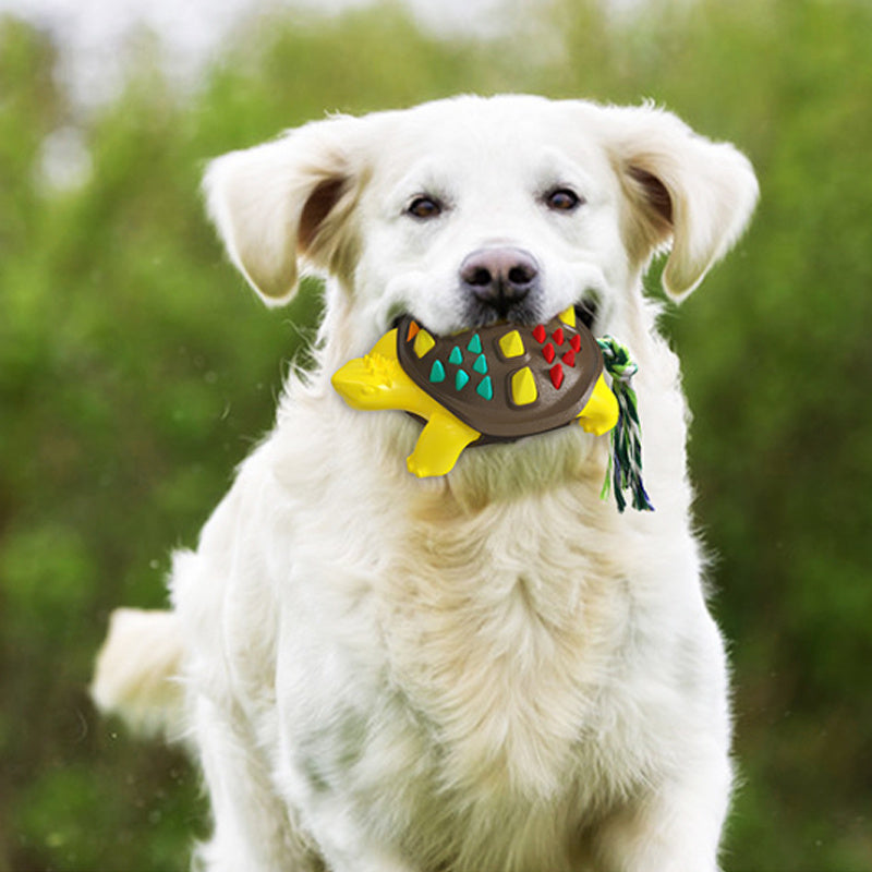 Dog Toothbrush Chew Toy